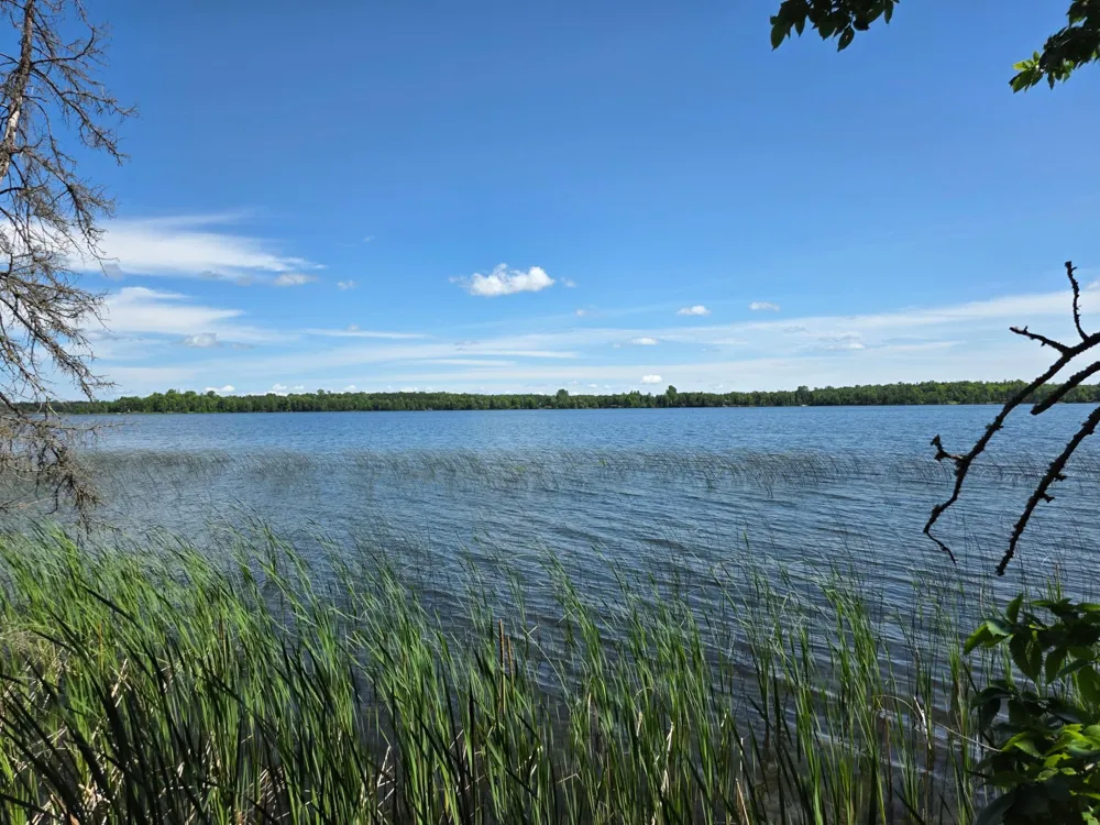 TBD Moose Lake Road NE Pennington, MN 56663
