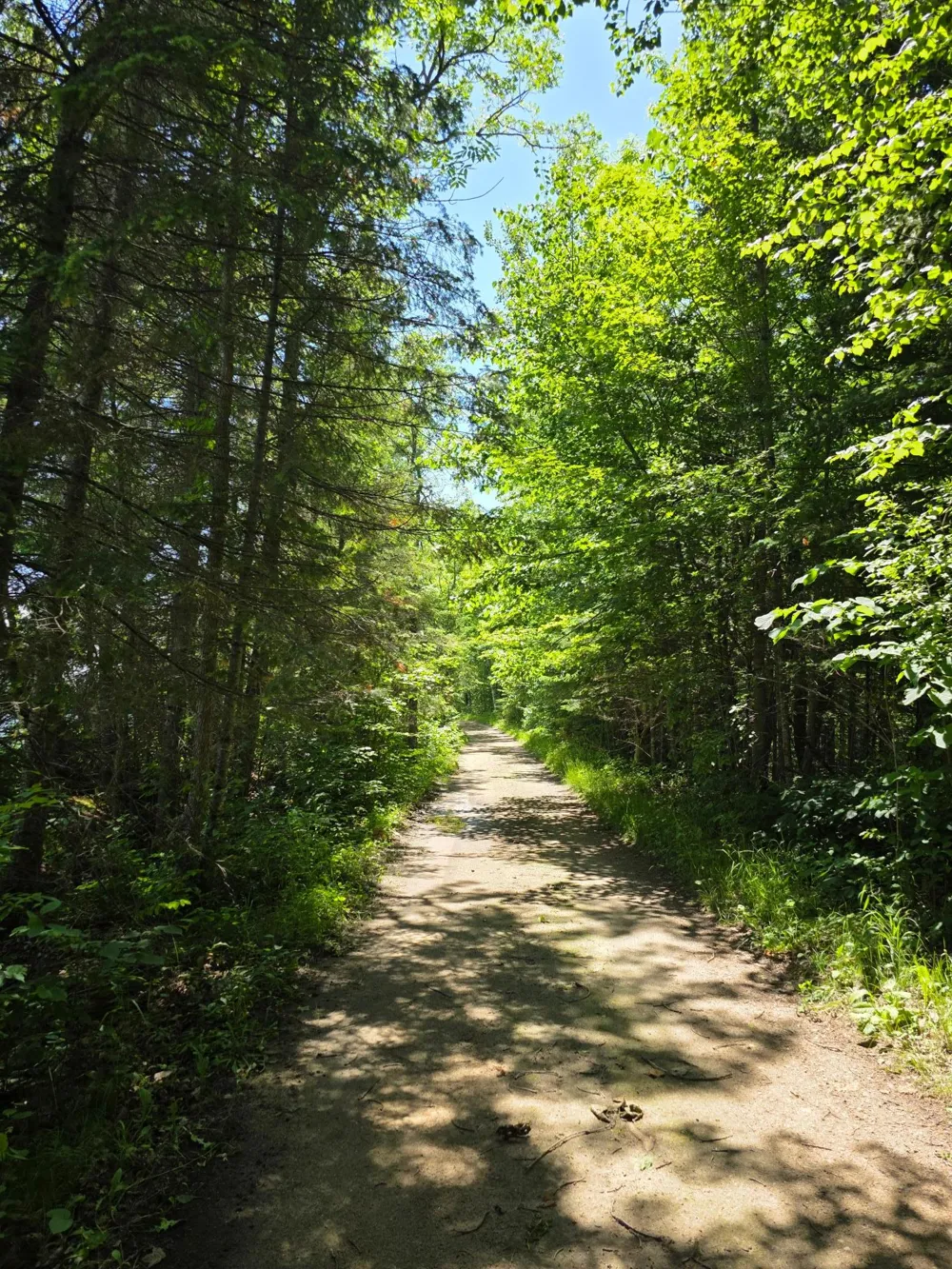 TBD Moose Lake Road NE Pennington, MN 56663