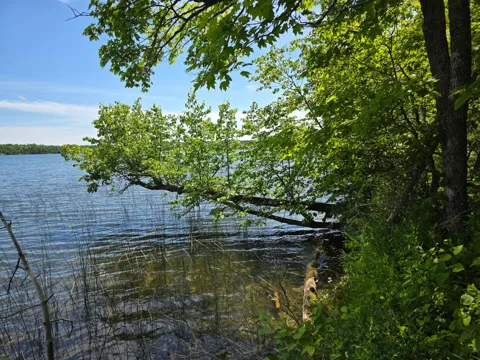 TBD Moose Lake Road NE