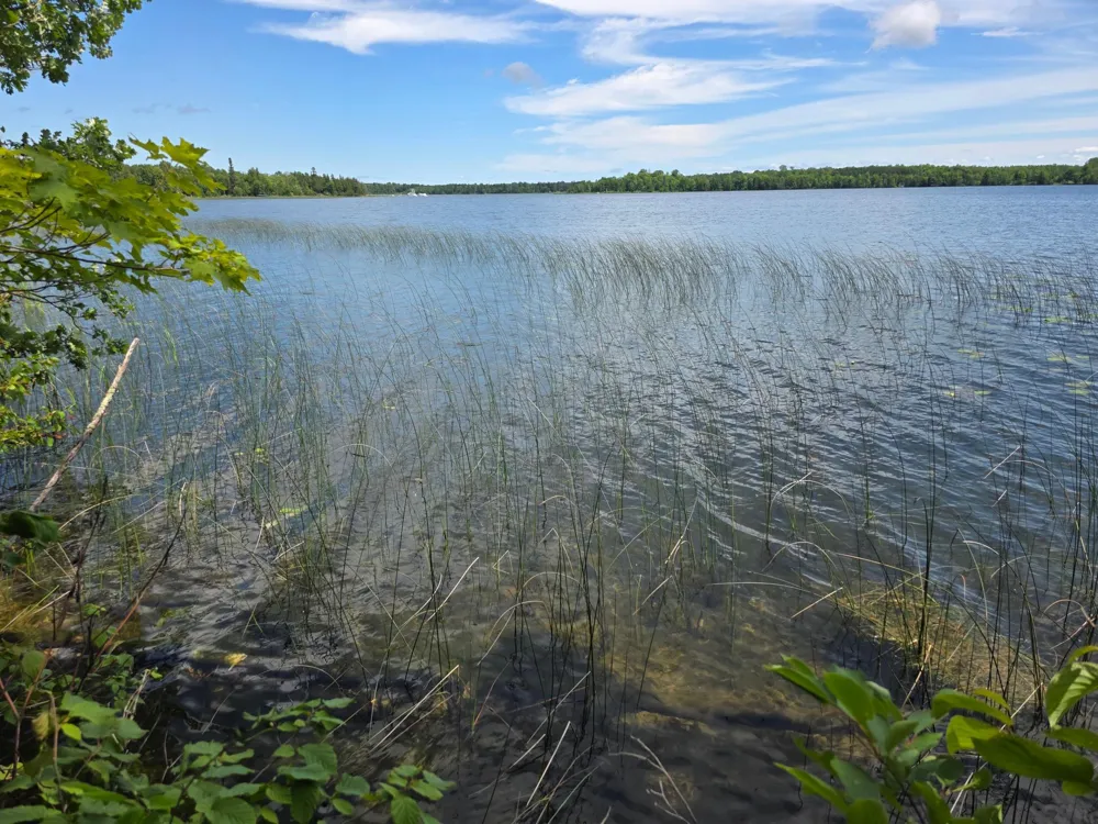 TBD Moose Lake Road NE Pennington, MN 56663