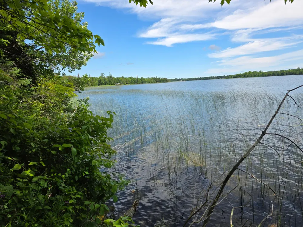 TBD Moose Lake Road NE Pennington, MN 56663