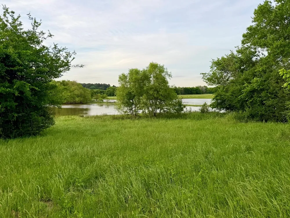 42 Shore Crest Way Athens, TX 75752