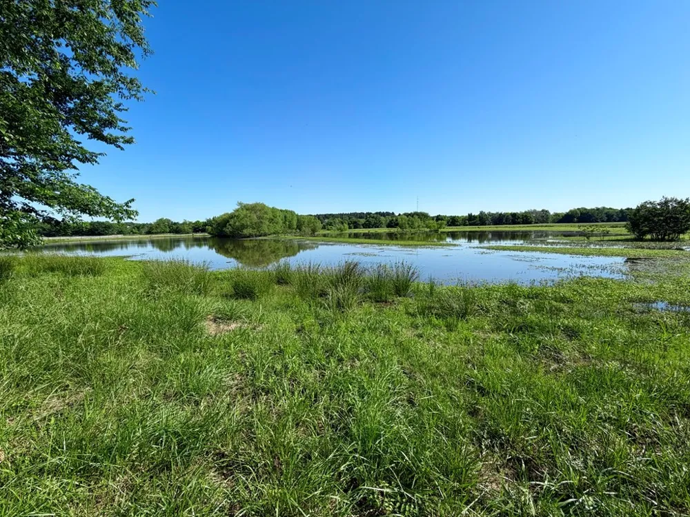42 Shore Crest Way Athens, TX 75752