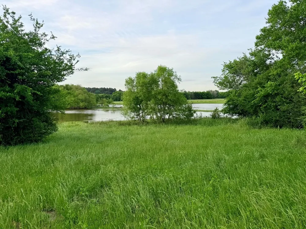 42 Shore Crest Way Athens, TX 75752