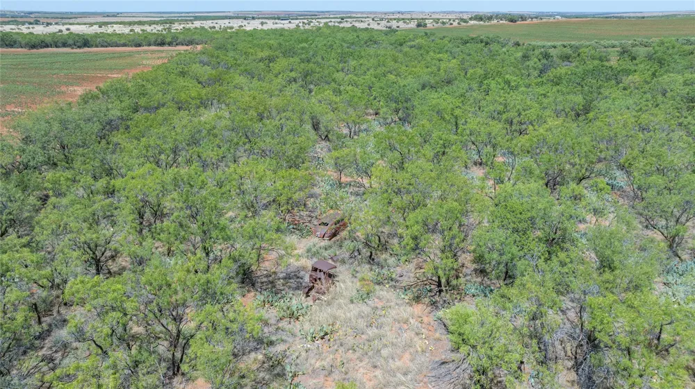 136 County Road 428 Sweetwater, TX 79556