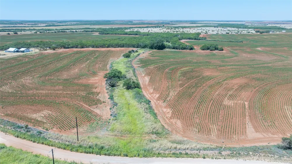 136 County Road 428 Sweetwater, TX 79556