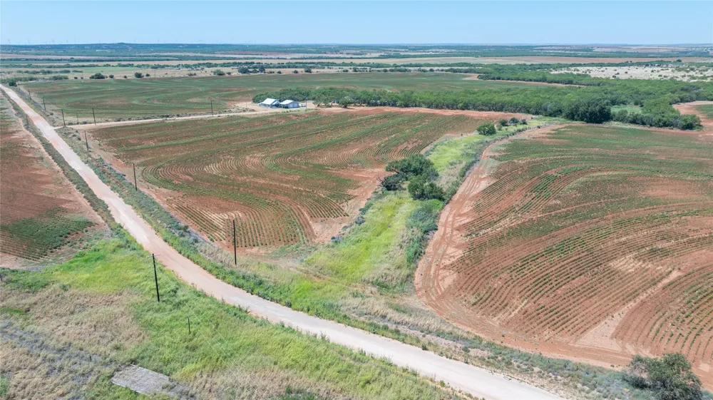 136 County Road 428 Sweetwater, TX 79556