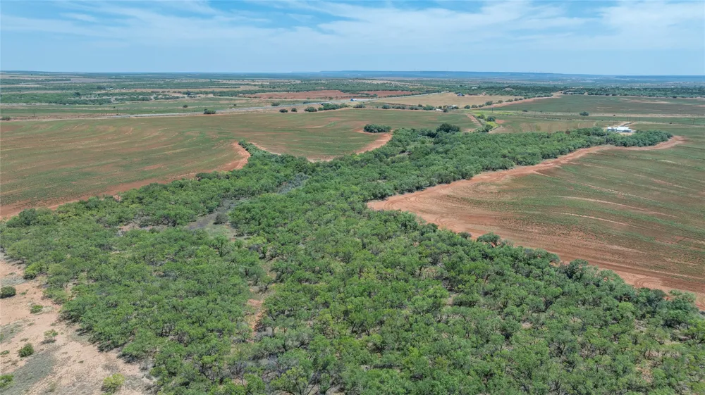 136 County Road 428 Sweetwater, TX 79556