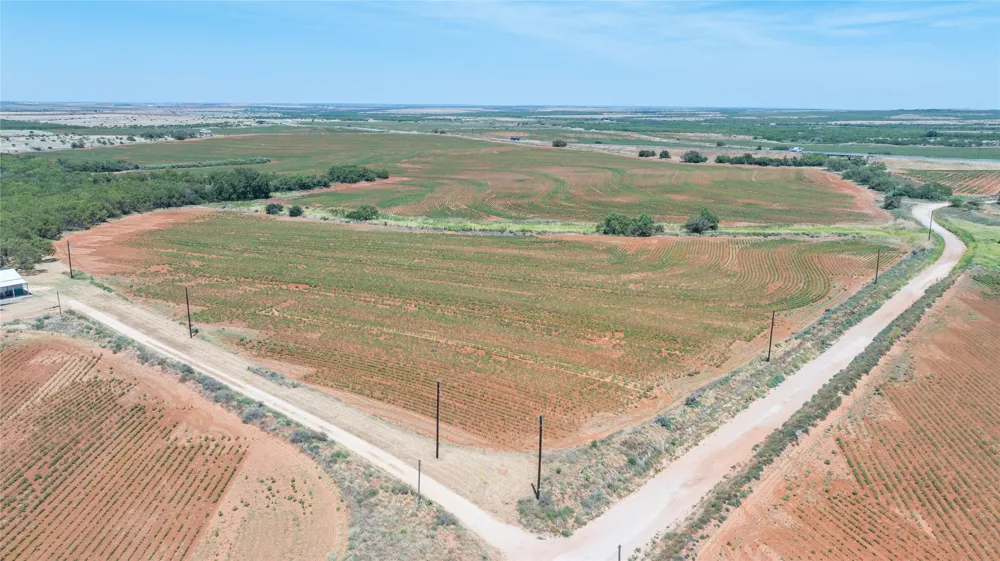 136 County Road 428 Sweetwater, TX 79556