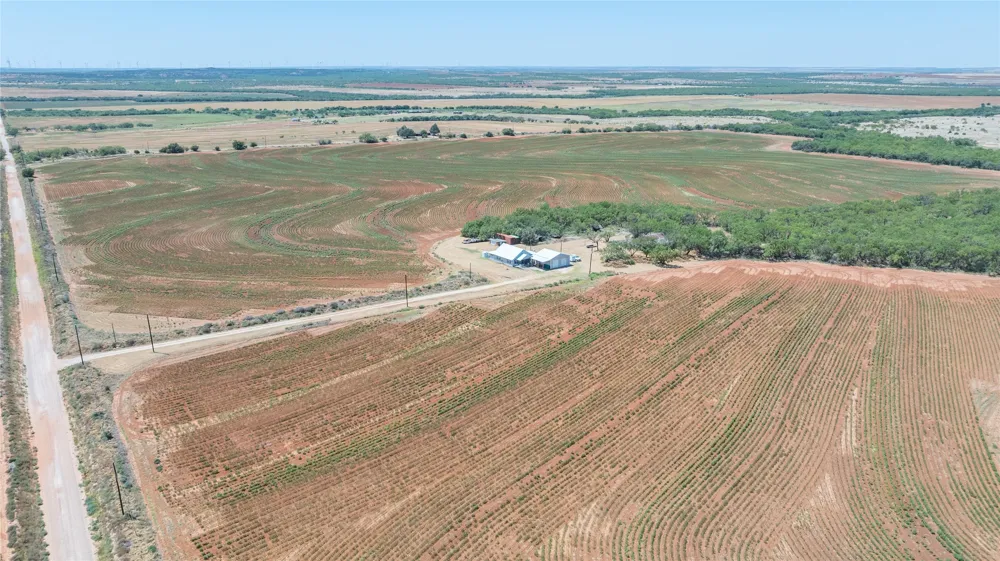 136 County Road 428 Sweetwater, TX 79556