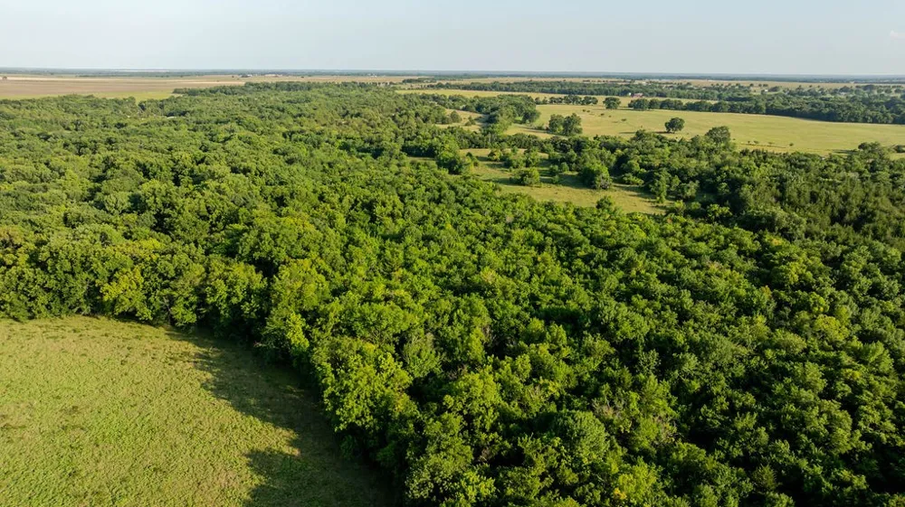 914 Main St/Wall/CR3220 Windom, TX 75492