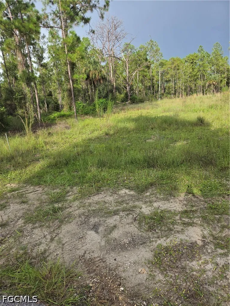 Truman Avenue Alva, FL 33920