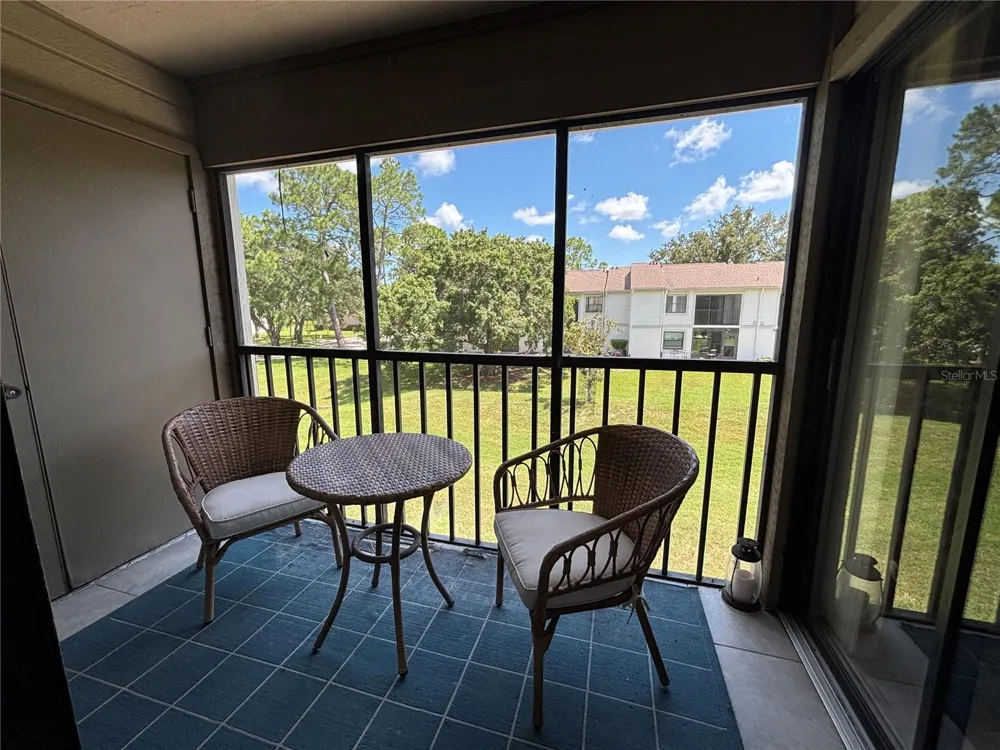 204 MEADOW LANE #204 Oldsmar, FL 34677