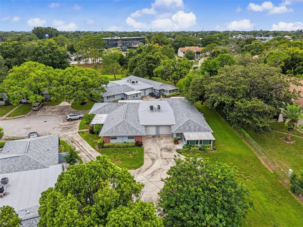 1614 BERWICK COURT #D Palm Harbor, FL 34684