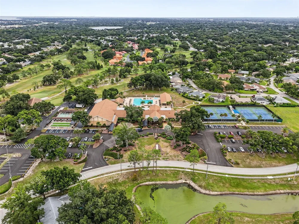 1614 BERWICK COURT #D Palm Harbor, FL 34684