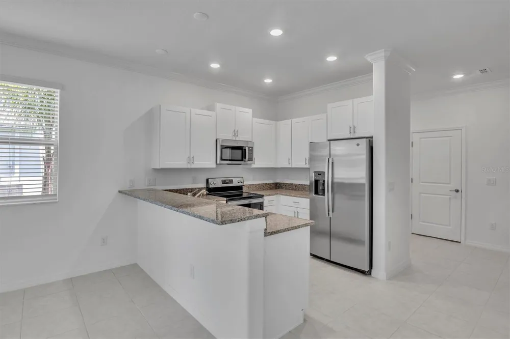 30687 VERIDIAN WAY Wesley Chapel, FL 33545
