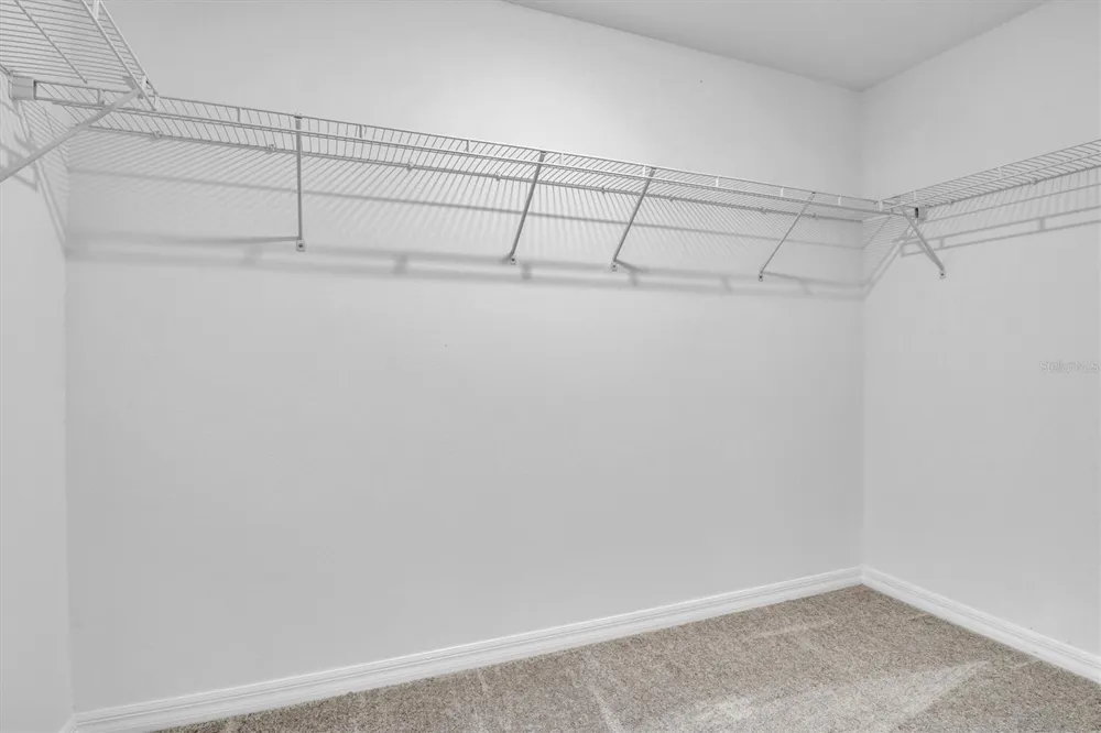 30687 VERIDIAN WAY Wesley Chapel, FL 33545