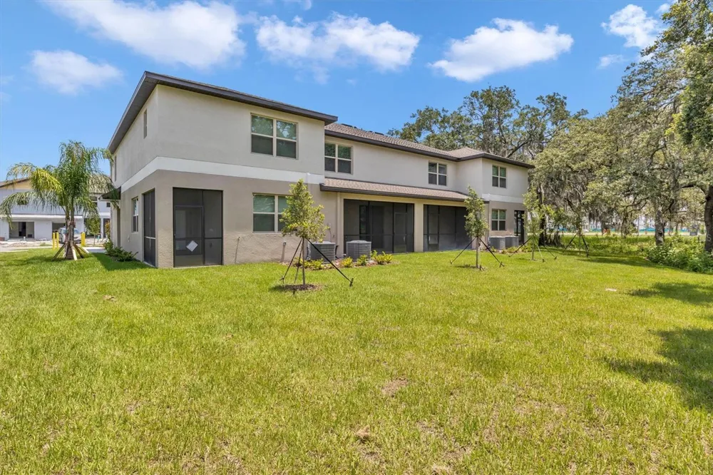 30687 VERIDIAN WAY Wesley Chapel, FL 33545