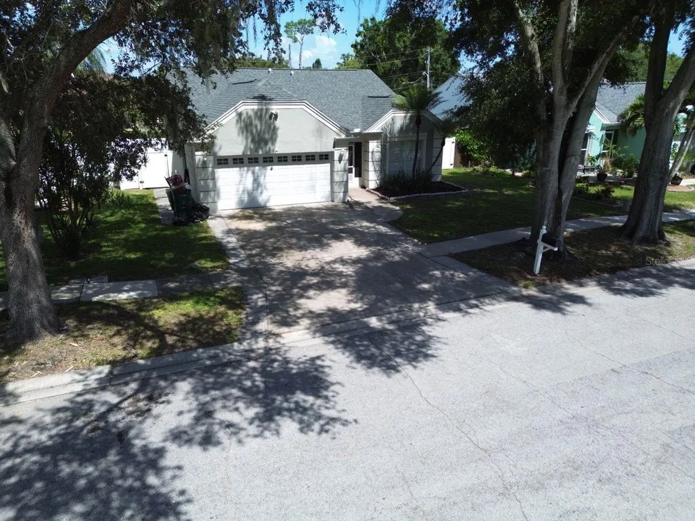 3363 MARION DRIVE Palm Harbor, FL 34684