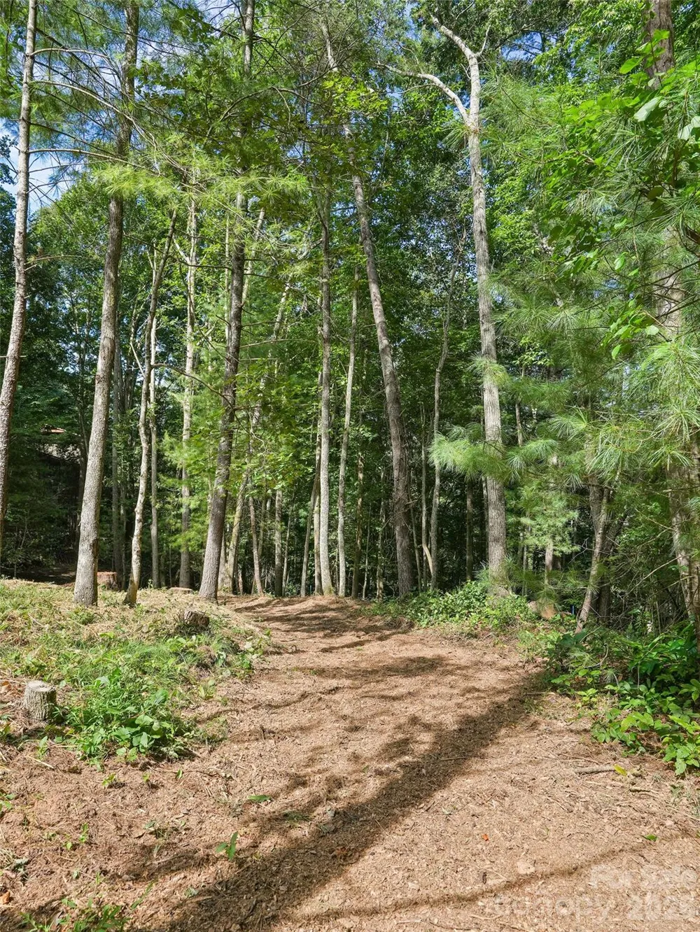 11 Tahchee Trail Fletcher, NC 28732