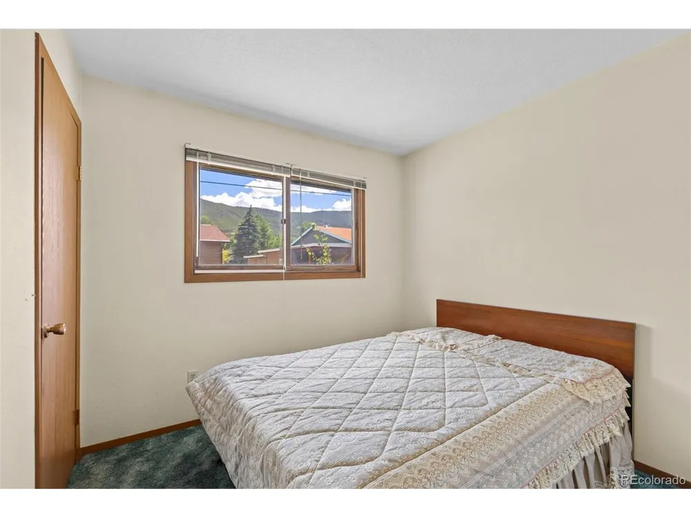 143 Meadow Drive Dillon, CO 80435