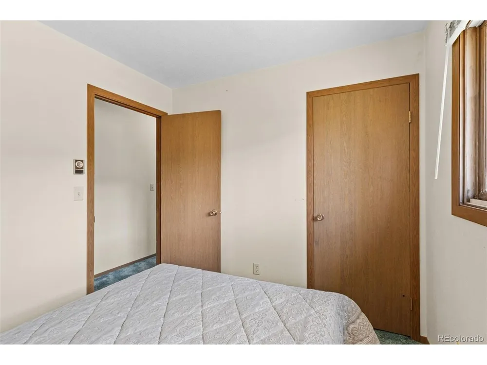 143 Meadow Drive Dillon, CO 80435