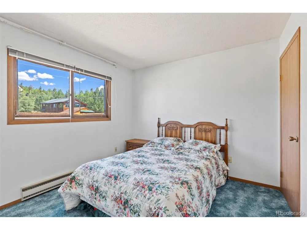 143 Meadow Drive Dillon, CO 80435