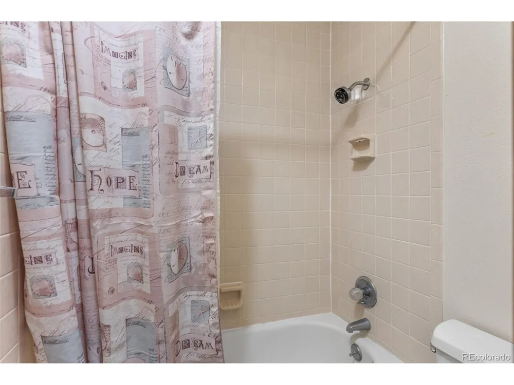 143 Meadow Drive Dillon, CO 80435