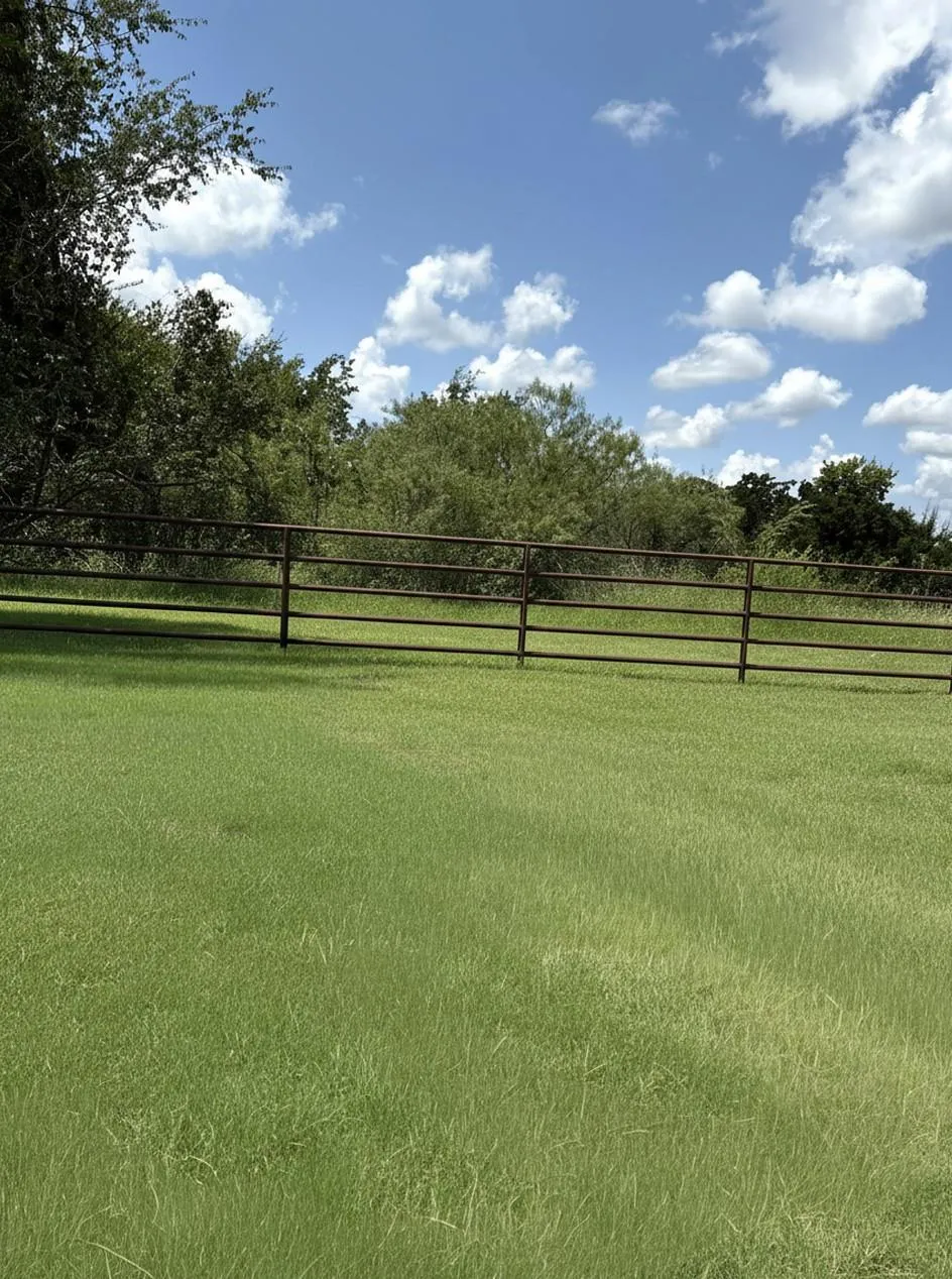 20729 County Road 124 Iola, TX 77861