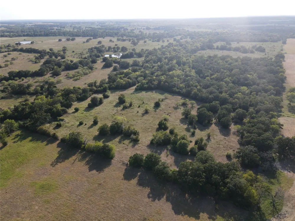 20729 County Road 124 Iola, TX 77861