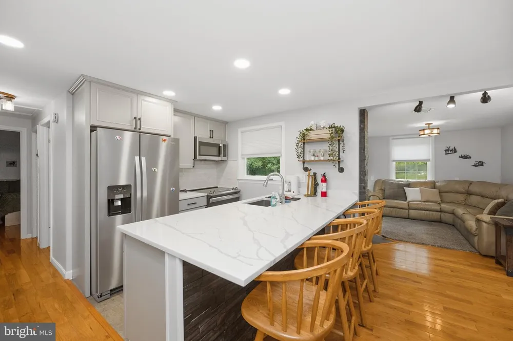 48 WILDWOOD ESTATES DRIVE Mc Henry, MD 21541