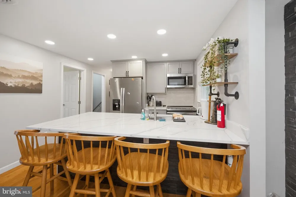 48 WILDWOOD ESTATES DRIVE Mc Henry, MD 21541