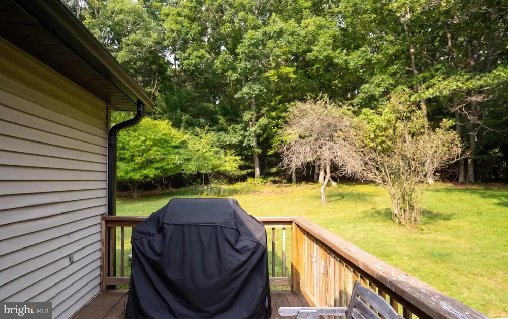 48 WILDWOOD ESTATES DRIVE Mc Henry, MD 21541