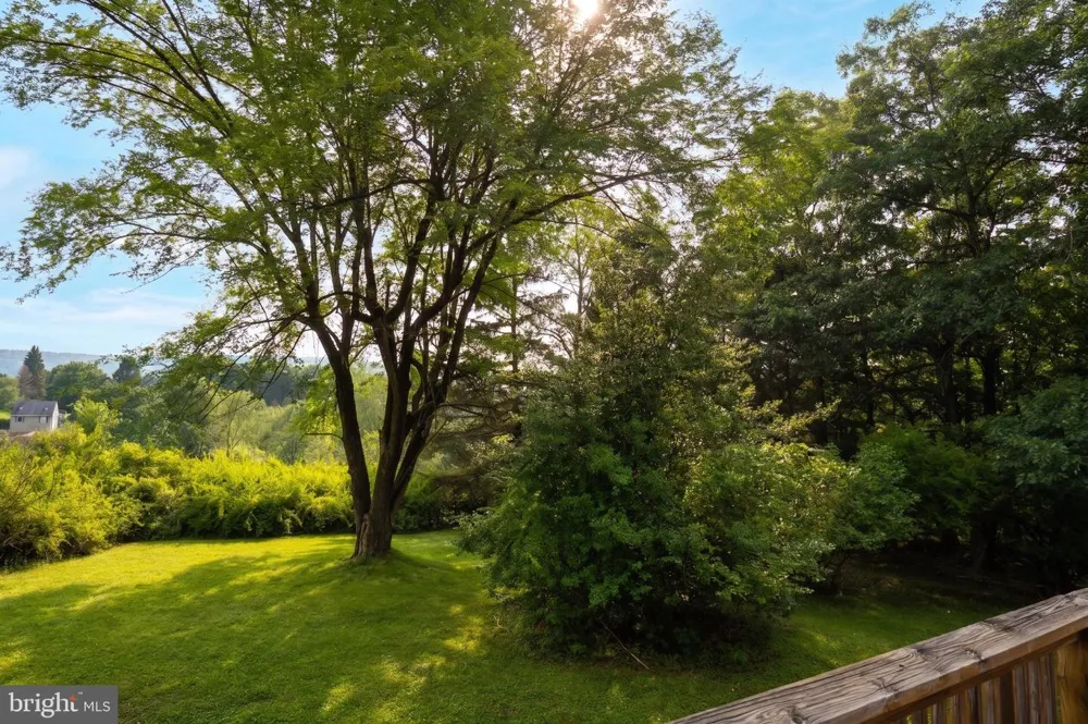 48 WILDWOOD ESTATES DRIVE Mc Henry, MD 21541