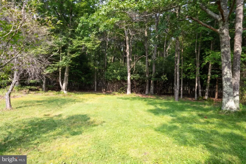 48 WILDWOOD ESTATES DRIVE Mc Henry, MD 21541