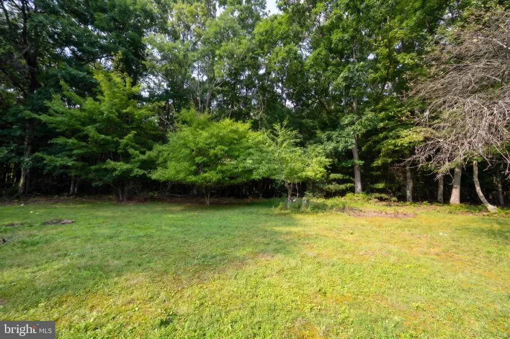 48 WILDWOOD ESTATES DRIVE Mc Henry, MD 21541