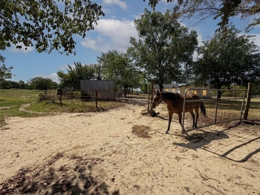 32951 Fm 47 Mabank, TX 75147