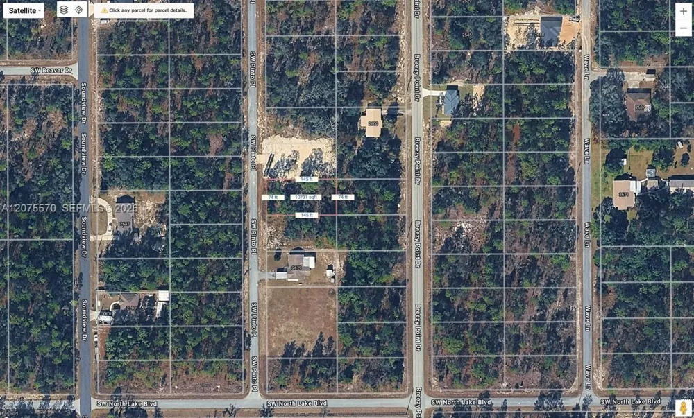 SW SW PINTO PL ocala, FL 34431