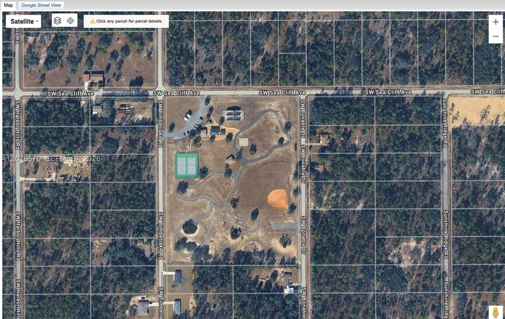 SW SW PINTO PL ocala, FL 34431