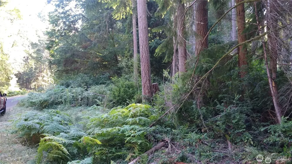 12106 Sound Drive Anderson Island, WA 98303
