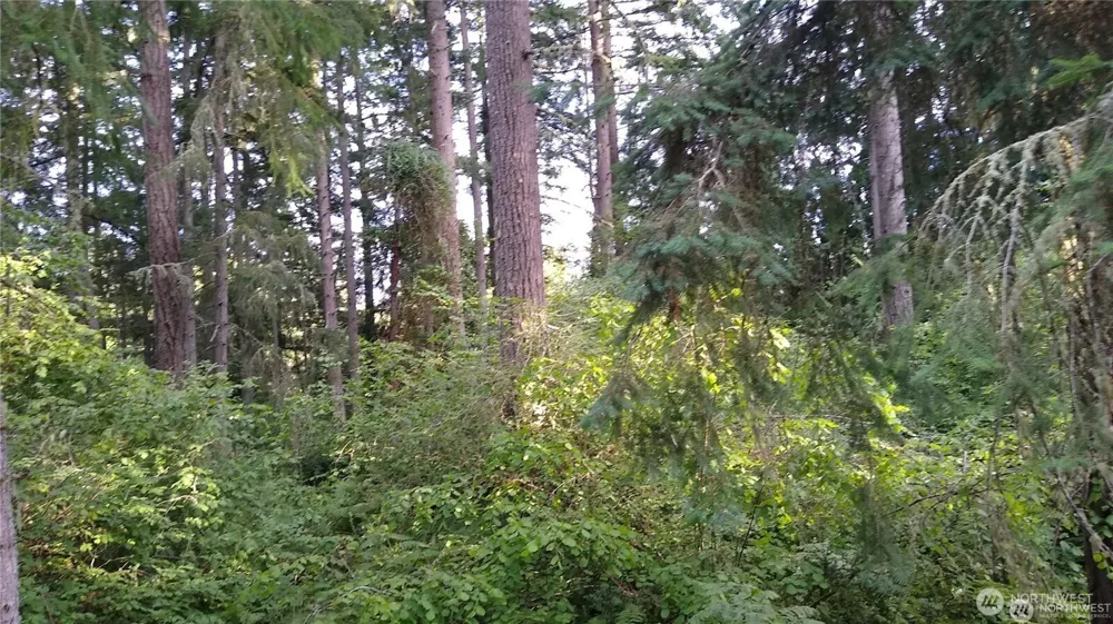 12106 Sound Drive Anderson Island, WA 98303