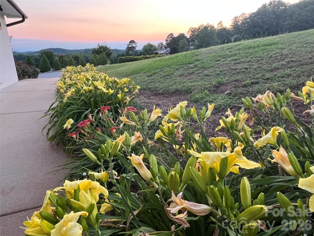 000 Moss Drive Rutherfordton, NC 28139