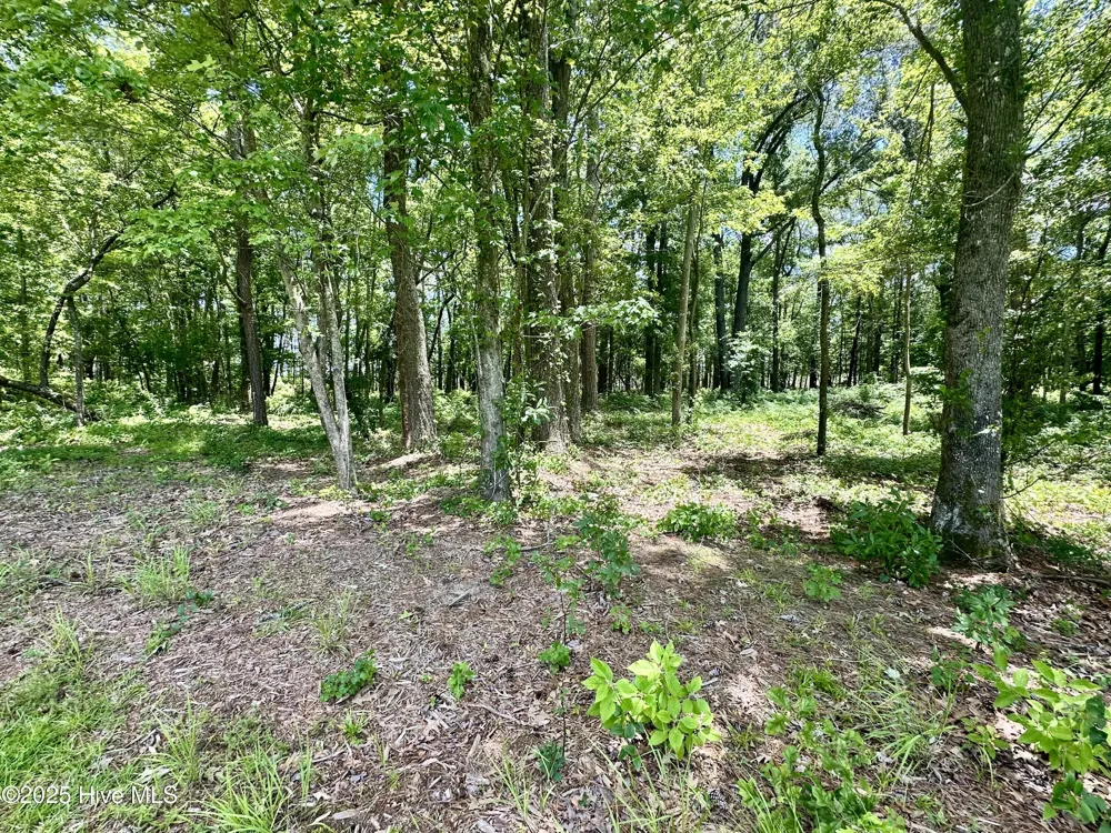 Lot 70 Winfield Lane Belhaven, NC 27810