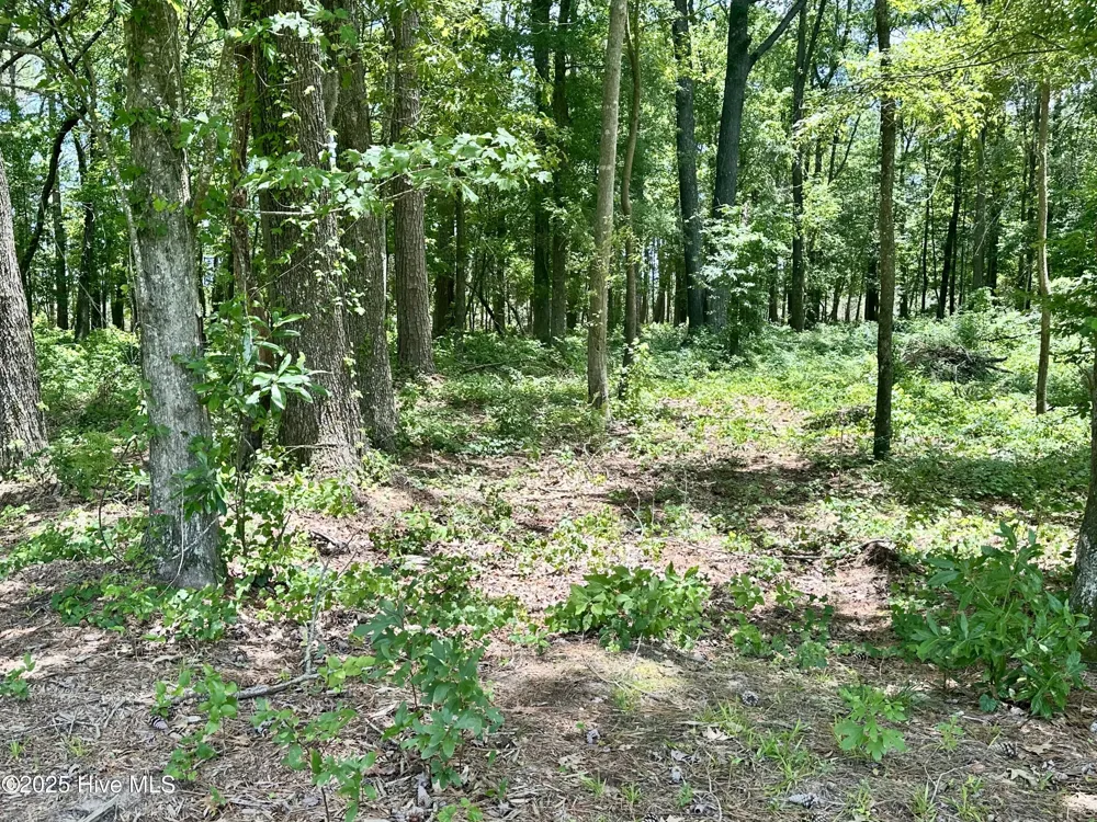 Lot 70 Winfield Lane Belhaven, NC 27810