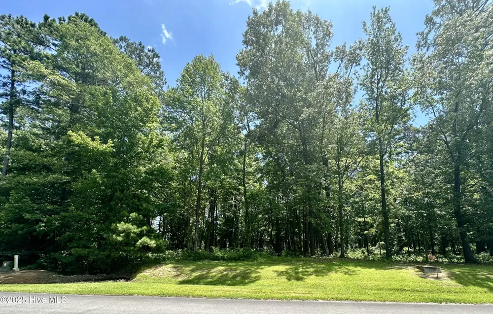 Lot 70 Winfield Lane Belhaven, NC 27810