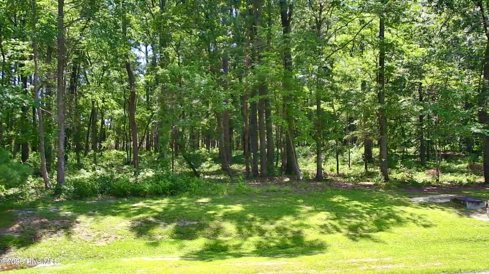 Lot 70 Winfield Lane Belhaven, NC 27810