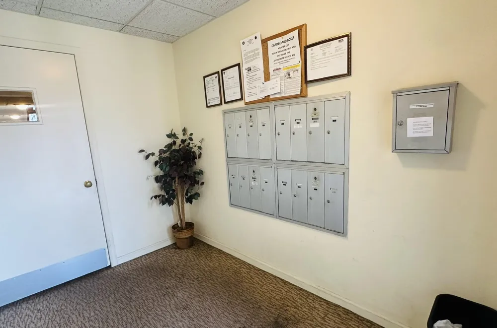 53 WEST 48TH ST Bayonne, NJ 07002