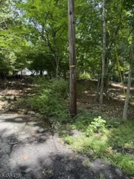 366 Warrenville Rd Green Brook, NJ 08812