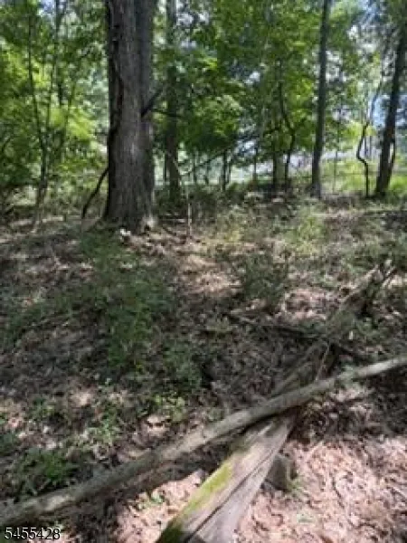 366 Warrenville Rd Green Brook, NJ 08812