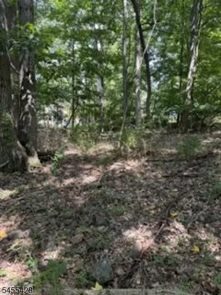366 Warrenville Rd Green Brook, NJ 08812